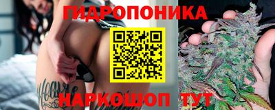 дмт Пушкино