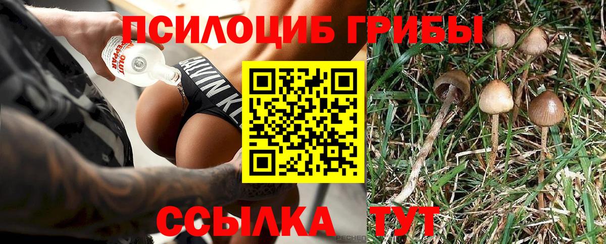 Галлюциногенные грибы GOLDEN TEACHER Солнечногорск