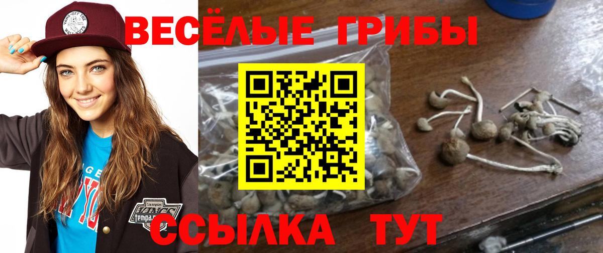 Галлюциногенные грибы MAGIC MUSHROOMS  Вход с VPN  Галлюциногенные грибы GOLDEN TEACHER  Солнечногорск 